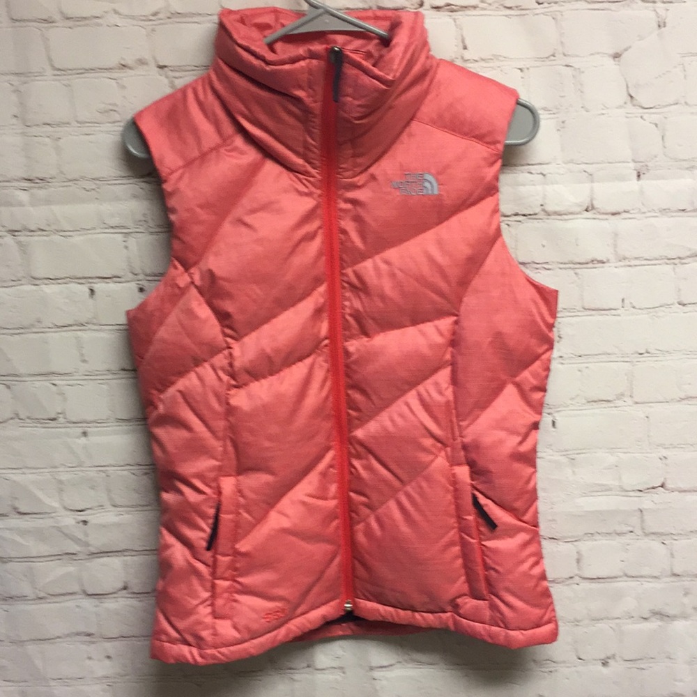 The north face down goose vest